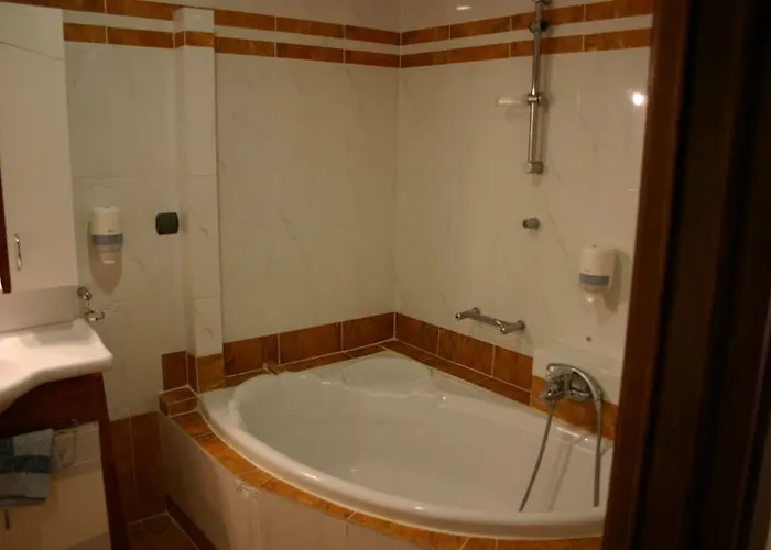 Hotel Petit Palais 2*