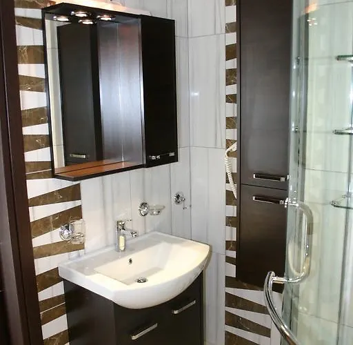 酒店 佩缇特帕拉斯酒店 路特奇