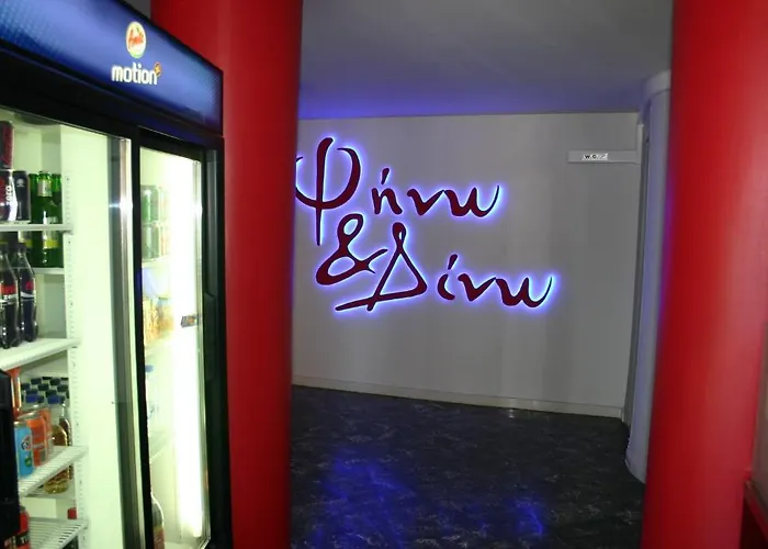 酒店 佩缇特帕拉斯酒店 路特奇